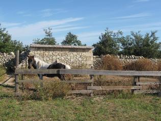 Masseria Copertini