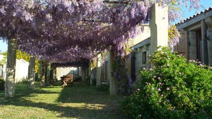 Masseria Copertini