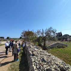 Escursione outdoor con guida specializzata 